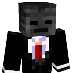 jo_nas123 Minecraft avatar bust