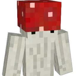joacoaudi Minecraft avatar bust
