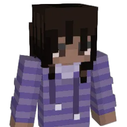 joaofelixfan13 Minecraft avatar bust