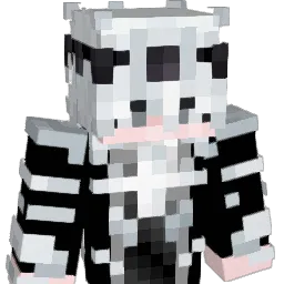 Minecraft-Avatar von joaovitor2110: Büste