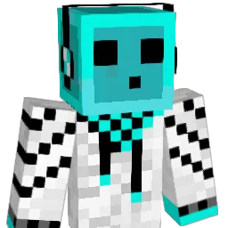 joey_ace Minecraft avatar bust