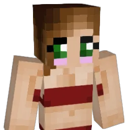 jojo2451 Minecraft avatar bust