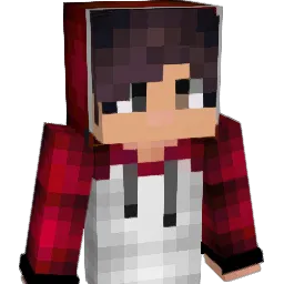 jojunjojun's Minecraft skin