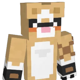 jomamma70 Minecraft avatar bust