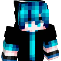 jonas141999 Minecraft avatar bust