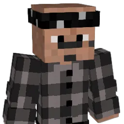 jonasS2 Minecraft avatar bust