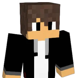 jonasb48 Minecraft avatar bust