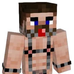 joneco12 Minecraft avatar bust
