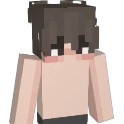 jonhson507 Minecraft avatar bust