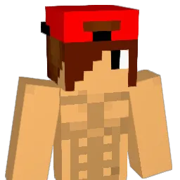 josh123abcoo1 Minecraft avatar bust