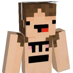 joshmcin Minecraft avatar bust