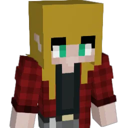 joshua419x Minecraft avatar bust