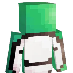 joung9137 Minecraft avatar bust