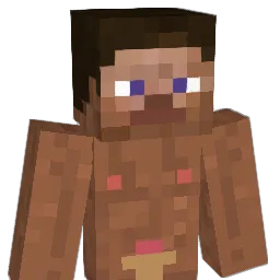 jowon1 Minecraft avatar bust