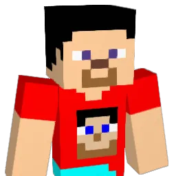 jp55925 Minecraft avatar bust