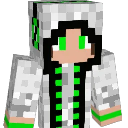 jperk365 Minecraft avatar bust