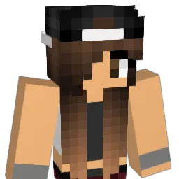jtjerzey5 Minecraft avatar bust