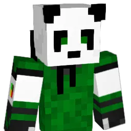 judo117 Minecraft avatar bust