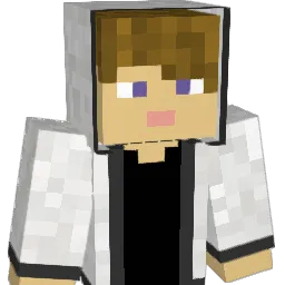 juha_wu Minecraft avatar bust