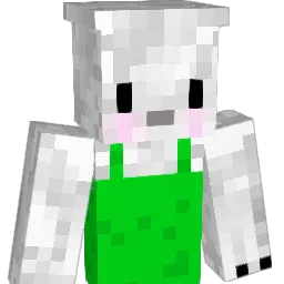 jun_0910 Minecraft avatar bust