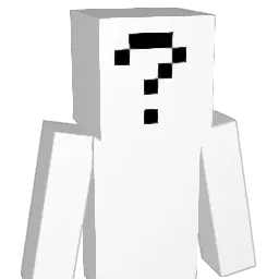 june248 Minecraft avatar bust