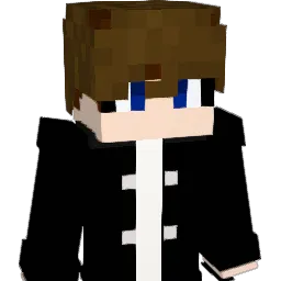 jungws25 Minecraft avatar bust