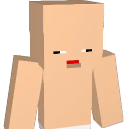 junio_rr Minecraft avatar bust