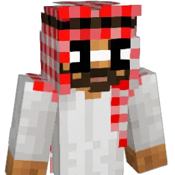 junkindunkin's Minecraft skin
