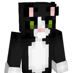 juny0914 Minecraft avatar bust