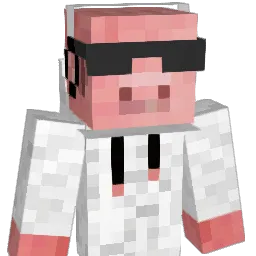 justines11 Minecraft avatar bust