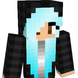 jwizy01 Minecraft avatar bust
