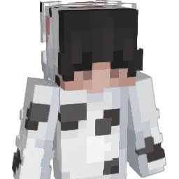 jxhn_cxa Minecraft avatar bust