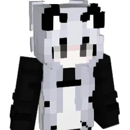 jyoung_ Minecraft avatar bust