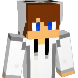 k013374909 Minecraft avatar bust