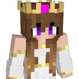 kaczka104 Minecraft avatar bust