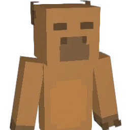 kaiyoppa Minecraft avatar bust