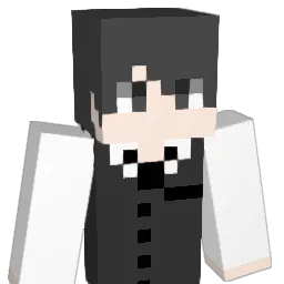 kakkon10 Minecraft avatar bust