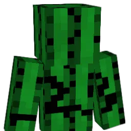 kaktus_23 Minecraft avatar bust