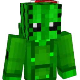 kaktus_cactus