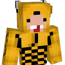 kamilek696969 Minecraft avatar bust