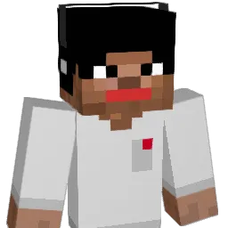 kamonegi0929's Minecraft skin