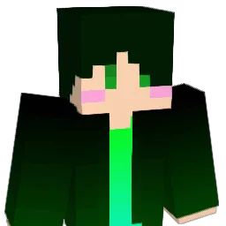 kara_minon Minecraft avatar bust