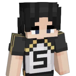 karaseirin Minecraft avatar bust