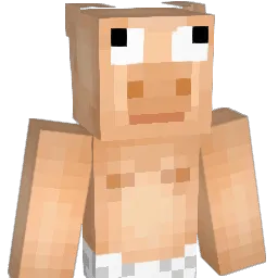 karl142 Minecraft avatar bust