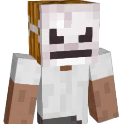 Minecraft-Avatar von karol64: Büste