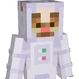 kater__ Minecraft avatar bust