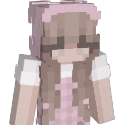 kcct's Minecraft skin
