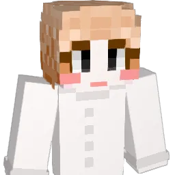 kdh2199 Minecraft avatar bust