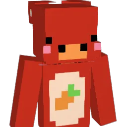kdo_hy0 Minecraft avatar bust