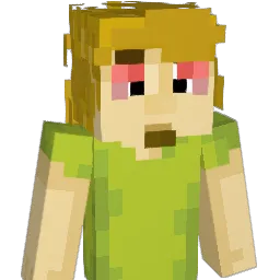 kerm1t___ Minecraft avatar bust